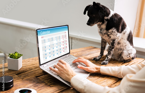 Fotografie Executive Looking At Calendar In Office