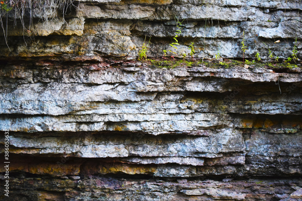 Limestones of the Ordovician period. Layers of ancient sedimentary rocks. Petrified animals in the thickness. Bank of the river Limestones of the Ordovician period. Layers of ancient sedimentary rocks. Petrified animals in the thickness. Bank of the river