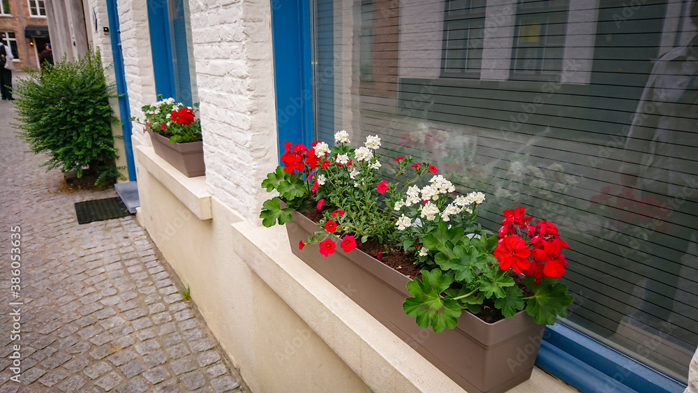 Naklejka premium Wonderful Flowers On The Windowsill In A Concrete Pot