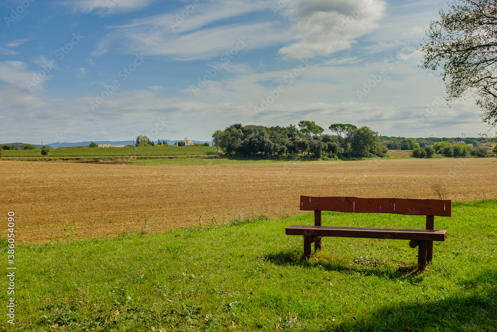 Wooden fence on a green field meadow rural landscape under a blue sunny sky Wooden fence on a green field meadow rural landscape under a blue sunny sky