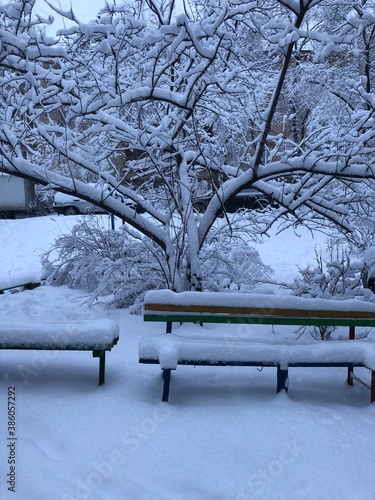bench in the park