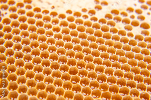 fresh honey in a comb on the light close-up. vitamin natural food. texture and background