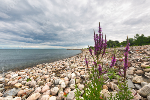 Canvas Print Beautiful coastline of Toronto along Lake Ontario