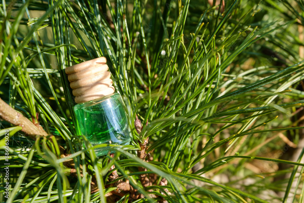 A bottle of green liquid on the background of cedar, resinous branches. Coniferous fragrance of the air. A bottle of green liquid on the background of cedar, resinous branches. Coniferous fragrance of the air.