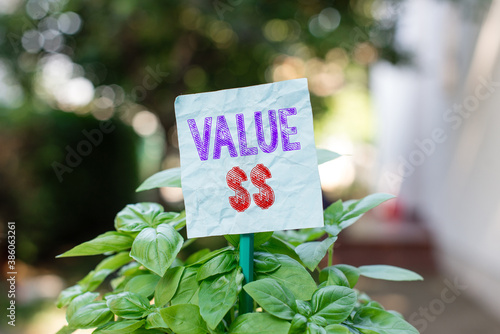 Word writing text Value Dolar. Business photo showcasing the worth of the process id of the currently running process Plain empty paper attached to a stick and placed in the green leafy plants photo