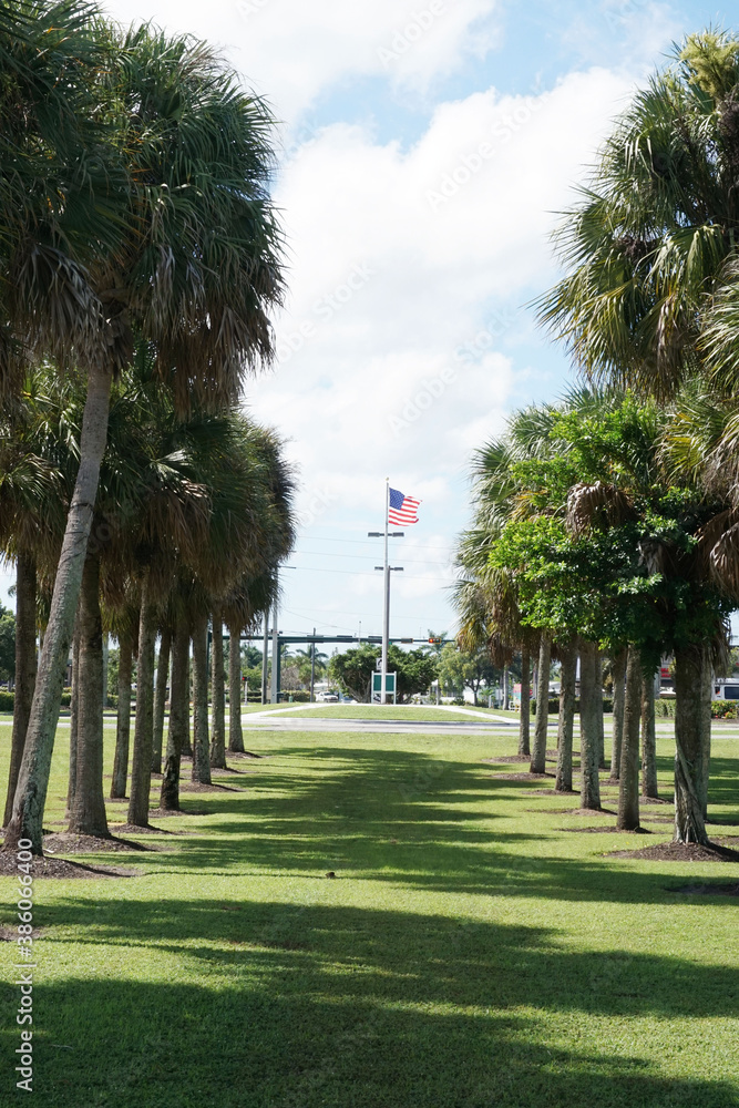 Fototapeta premium American Flag Flying in a Park