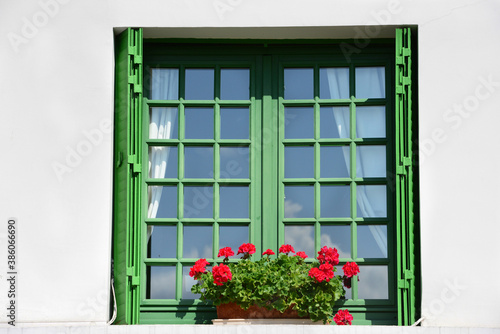 Green window with red geranium flowers , Paris, france
