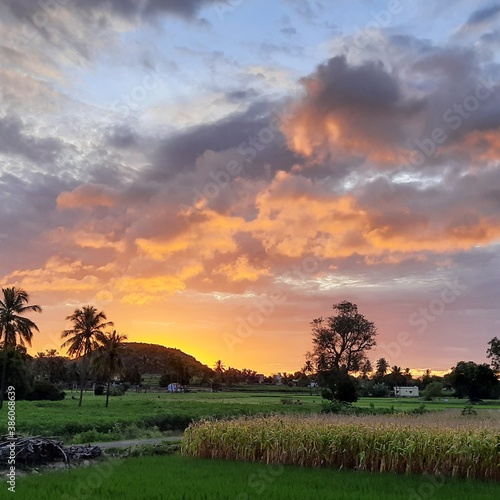 sunrise over the field © sudhagar