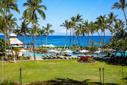 Plam trees at Beach resort, Waikoloa, Big Island, Hawaii. The Fairmont Orchid is a luxury hotel on the Kohala Coast of the island of Hawaii.  photo