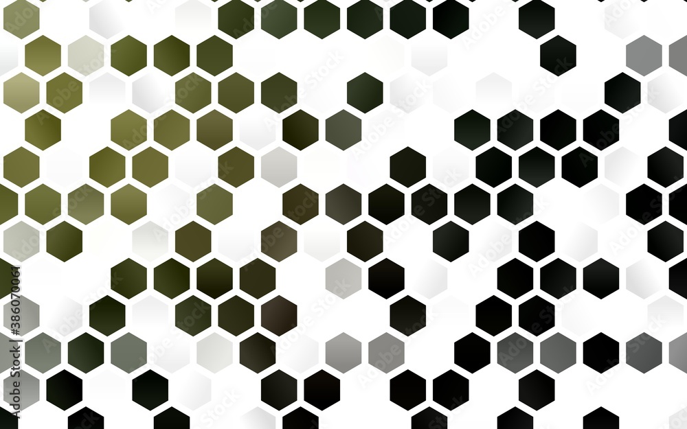 Light Green vector background with hexagons. Light Green vector background with hexagons.