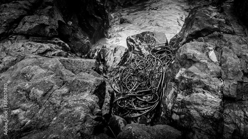 Black and White photo of Kelp thrust on the Rocks at Cox Bay on a Foggy Day at the Pacific Rim National Park on the West Coast of Vancouver Island, British Columbia, Canada © hpbfotos