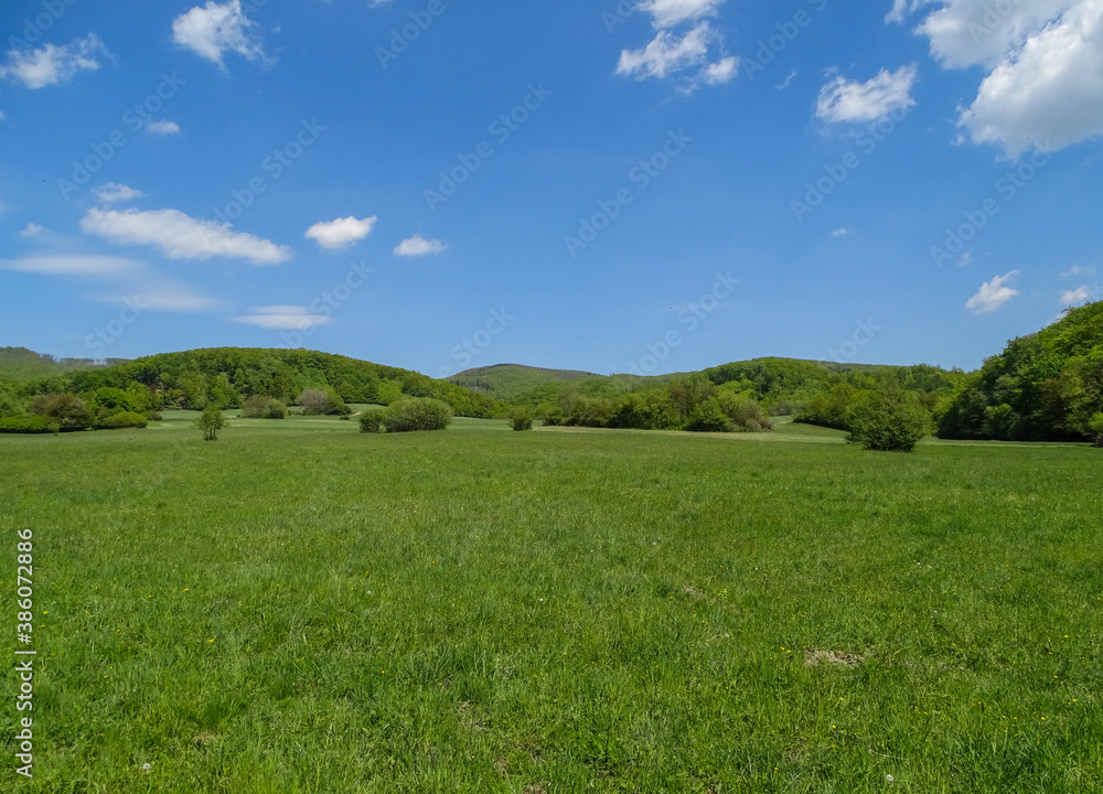 Grass field surrounded by forest with blue sky