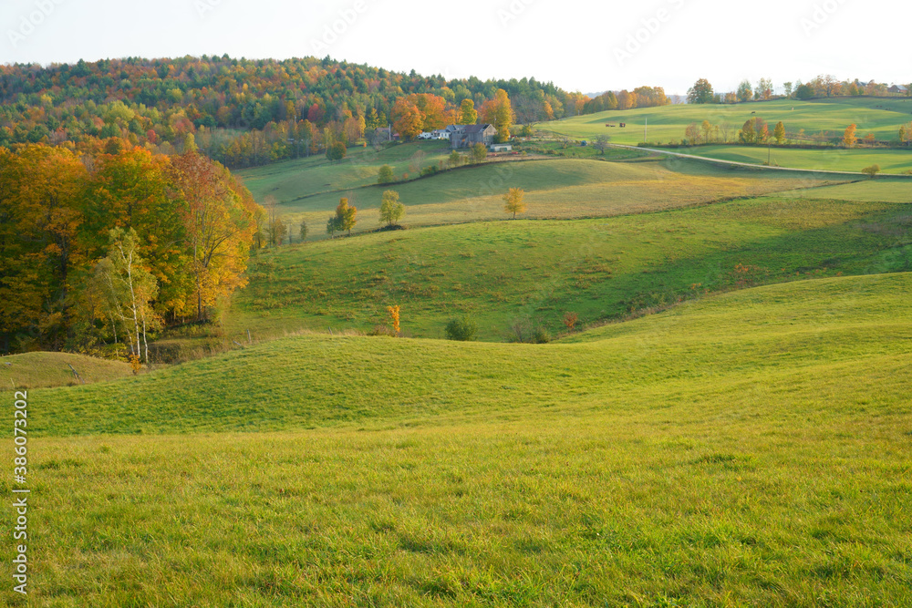landscape of autumn farmland with woods under sunlight