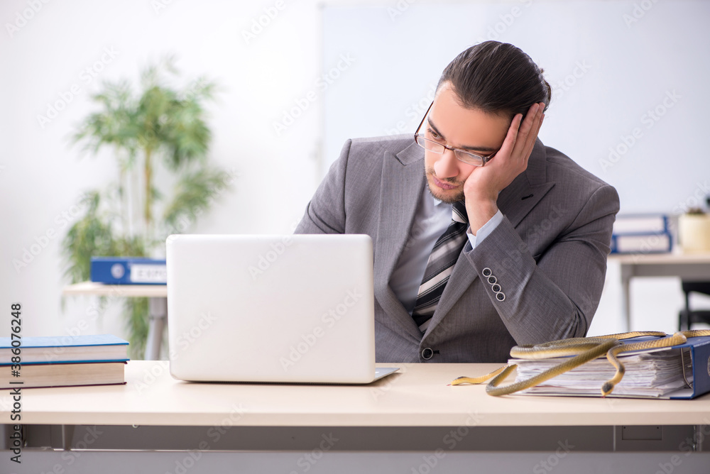 Young male employee with snake in the office Young male employee with snake in the office