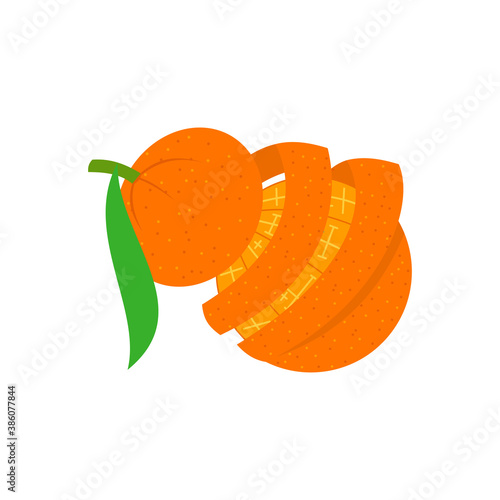 Orange Peel illustration Design Slice Part