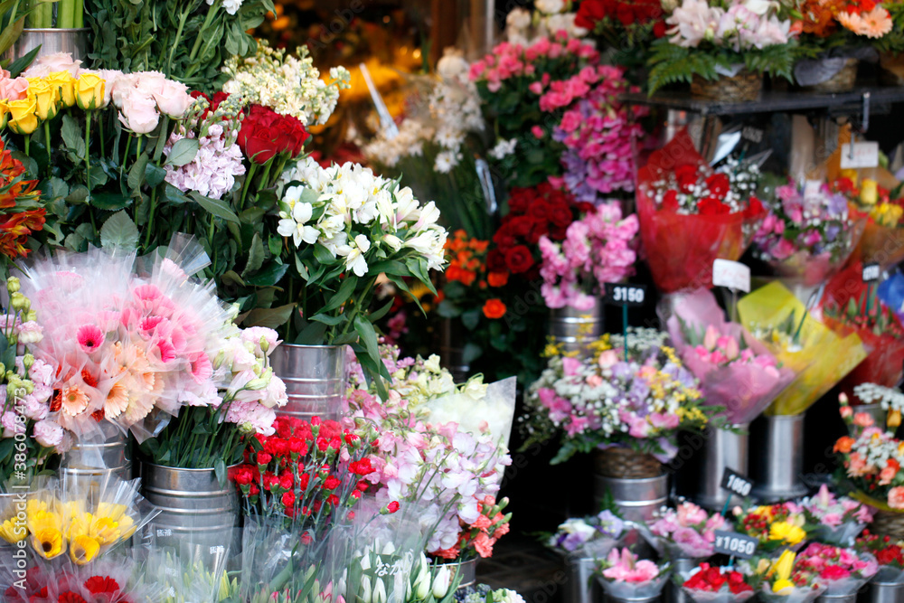 花屋の店先 花屋の店先