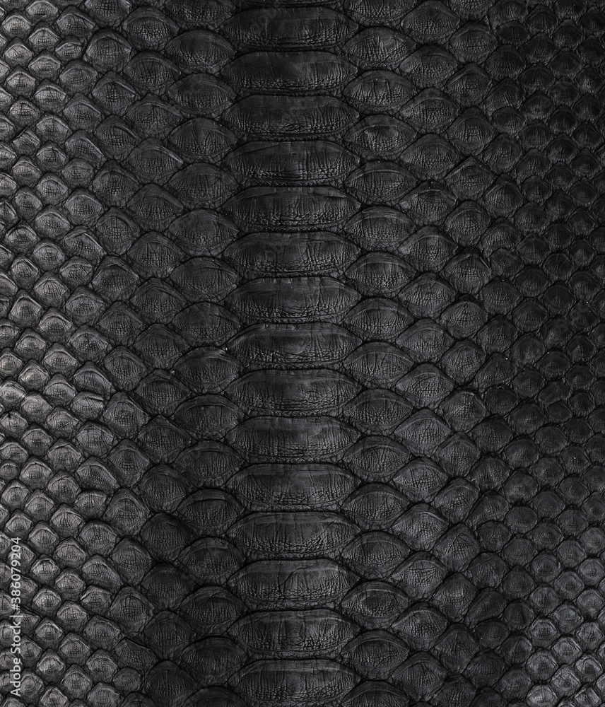 black texture from natural python black texture from natural python