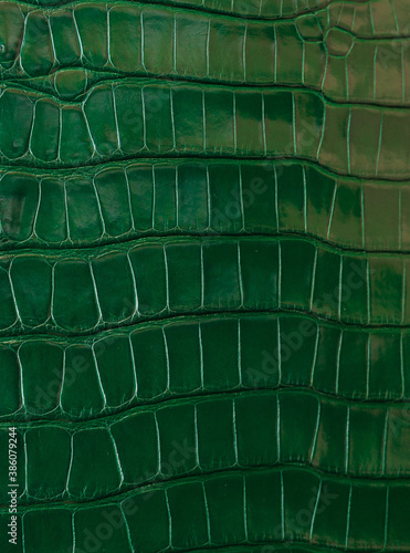 background from green crocodile texture