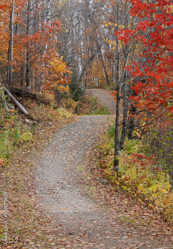 Winding hill through Arrowhead Park with bright autumn leaves colors