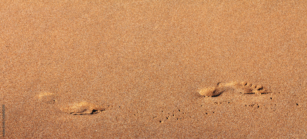 Two footprints of bare human feet walking from left to right over wet smooth yellow sand Two footprints of bare human feet walking from left to right over wet smooth yellow sand