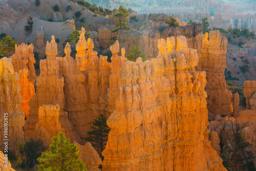 Orange-yellow sandstone spires sculpted by the forces of nature, Bryce Canyon National Park, Utah