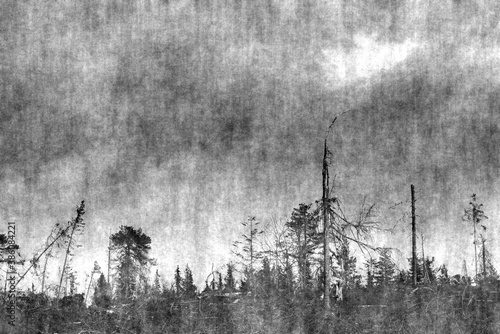 Conceptual noisy image of forest clearing and sky in Sweden