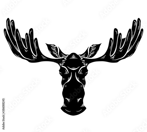 Black silhouette of a moose head with antlers front view with hatching. Wild mammal. Vector outline silhouette for logos, icons, postcards and your designs.
