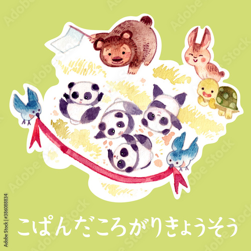 子パンダの転がり徒競走