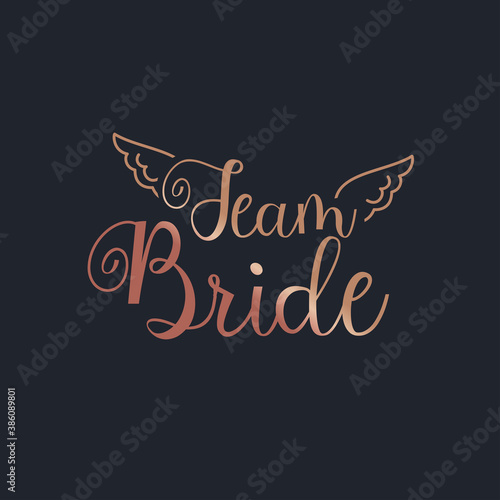 Team Bride beautiful gold text on a black background vector