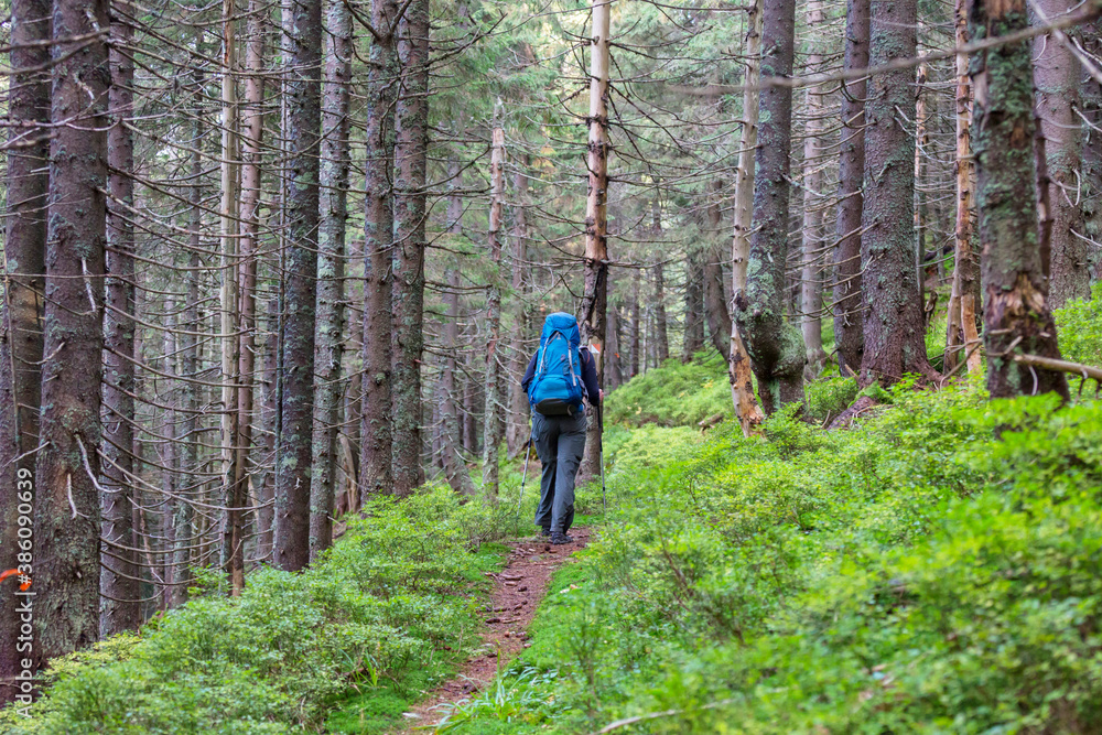 Hike in the forest