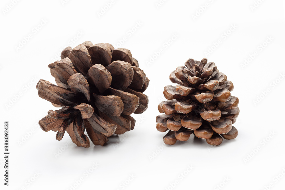 Christmas decorations, two pine cones isolated on white background. Close-up Christmas decorations, two pine cones isolated on white background. Close-up