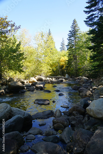 Vertical view of a large boulders in a river, framed by trees, on a sunny day in California