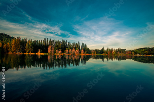 Blurred nature background view of naturally occurring trees and reflection on the water surface, the beauty of ecosystems at various vantage points.