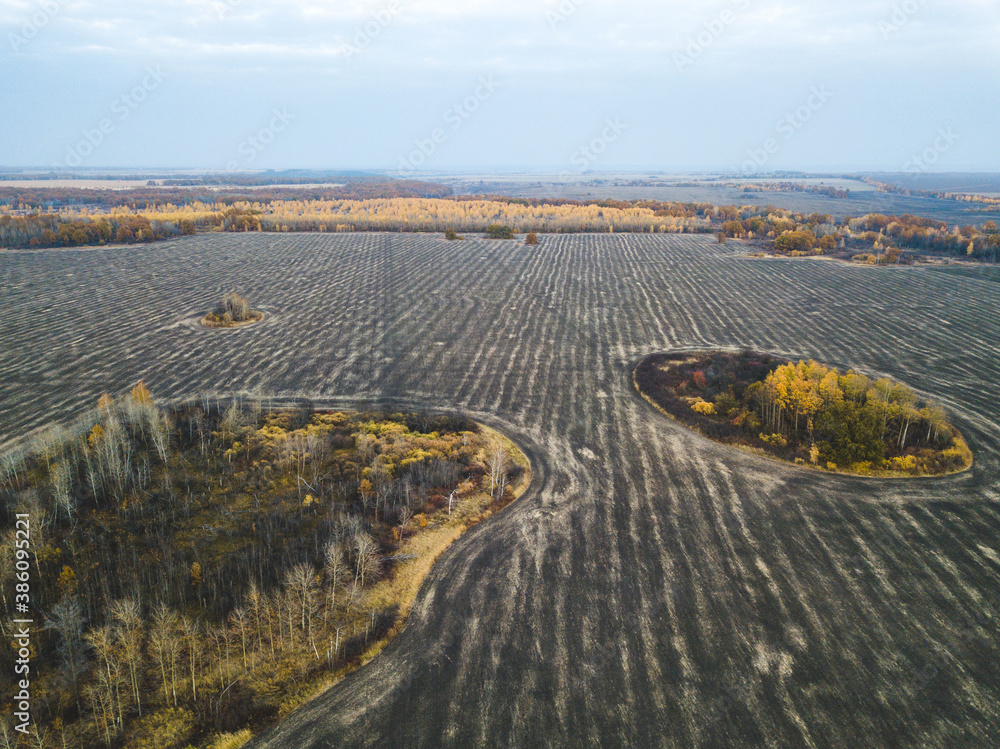 Autumn bushes and trees in the plowed field. View from above