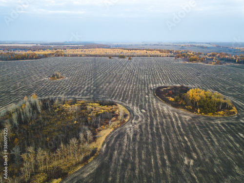 Autumn bushes and trees in the plowed field. View from above