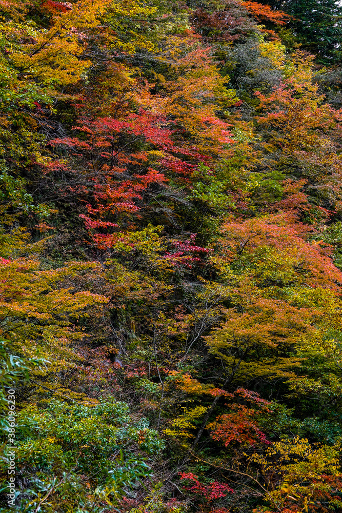 Mt. Iwate in Iwate, 2020.