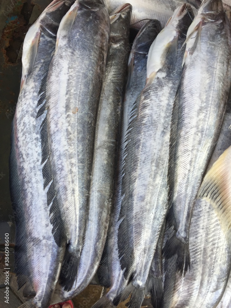 Obraz premium Fresh fish shop.
