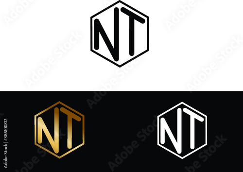 NT hexagon Shape minimalist logo Design