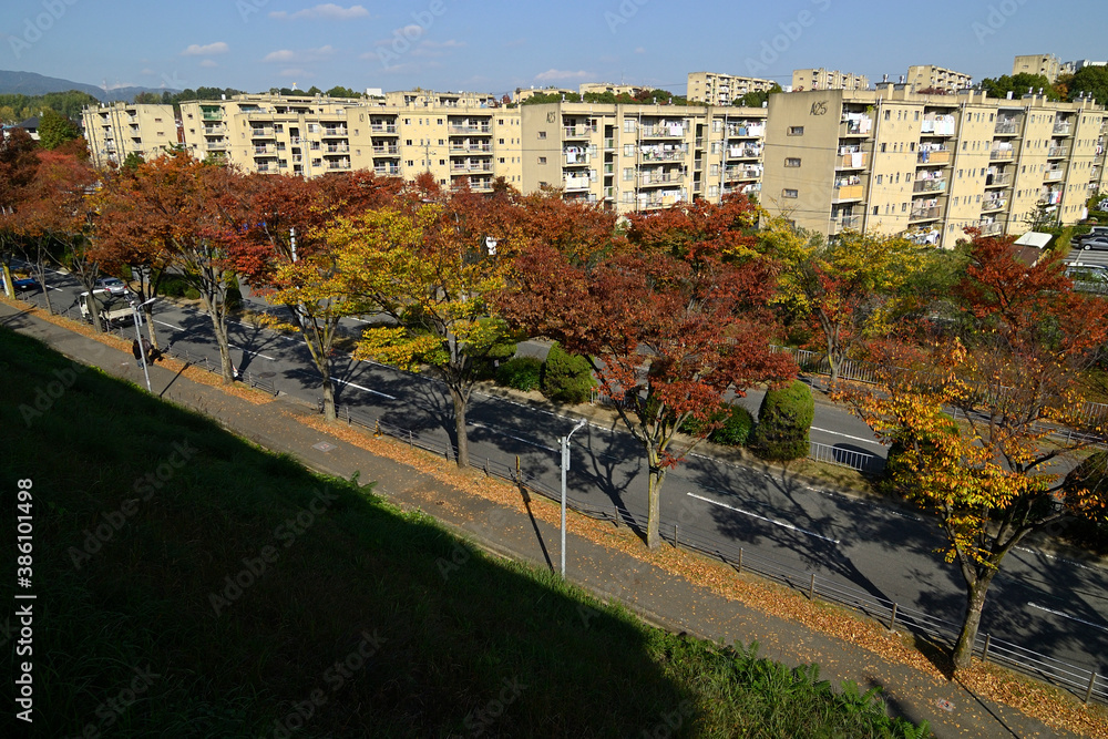 Fototapeta premium 千里ニュータウン藤白台（大阪府吹田市）の府公社藤白台B団地・千里丘陵G団地