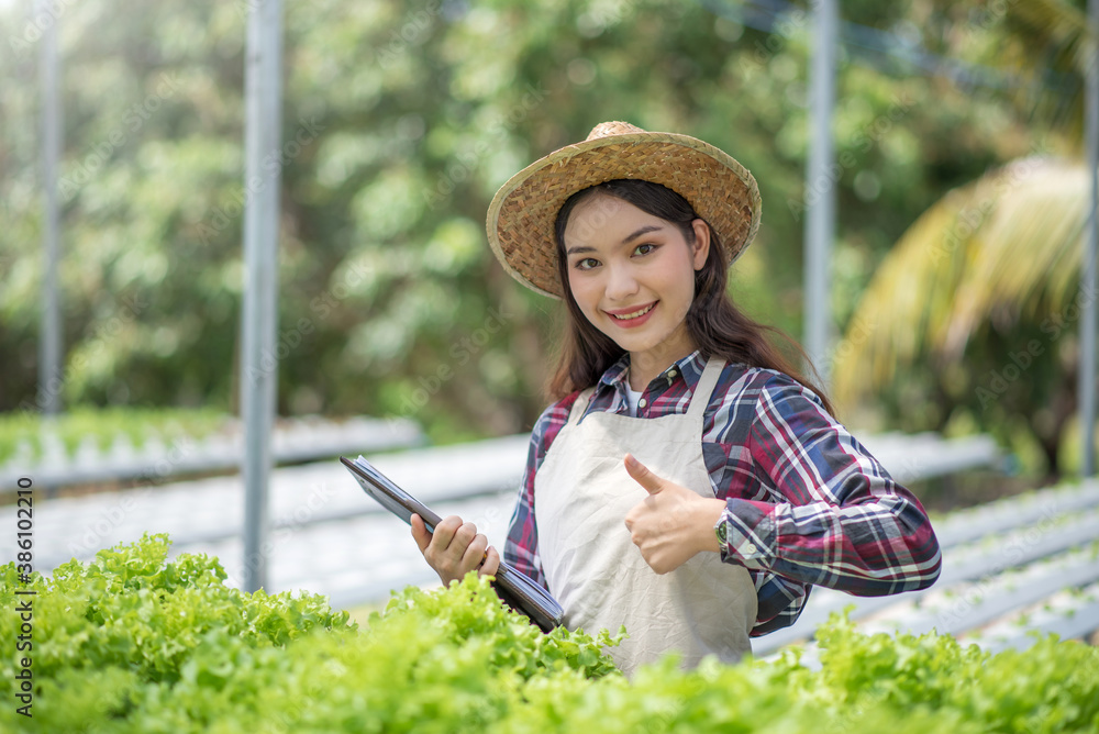 Hydroponics vegetable farm. Young asian woman showing thumbs up from her hydroponics farm. Concept of growing organic vegetables and health food.