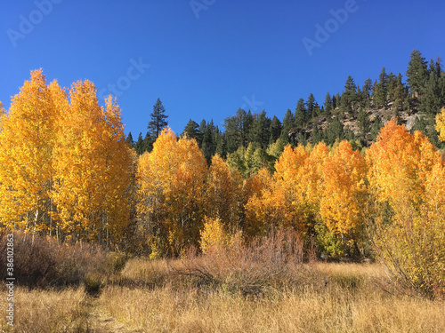 Scenic landscape view of a meadow in Hope Valley with evergreens and trees with orange and yellow fall colors