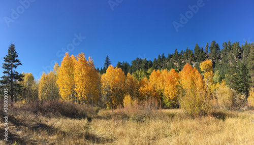 Panoramic landscape view of a meadow in Hope Valley with evergreens and trees with orange and yellow fall colors