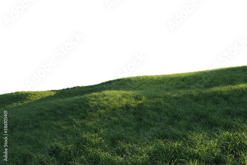 A 3D rendered meadow with green grass on a white background. 