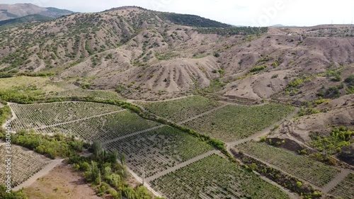 Aerial view on beautiful vineyards in the scenic valleys with views of the mountains. Crimea.