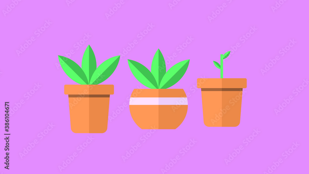 Plants and pots on a magenta background