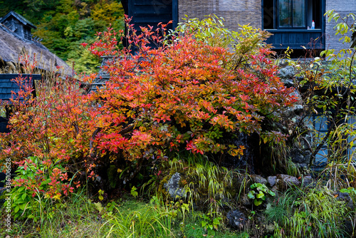 Nyuto Onsen in Akita, 2020. photo