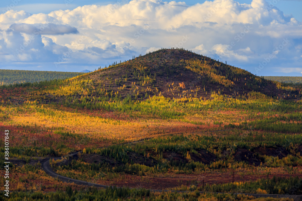 The nature of the Magadan region. Bright low hills in the tundra, covered with grass and colorful trees. Russian tundra