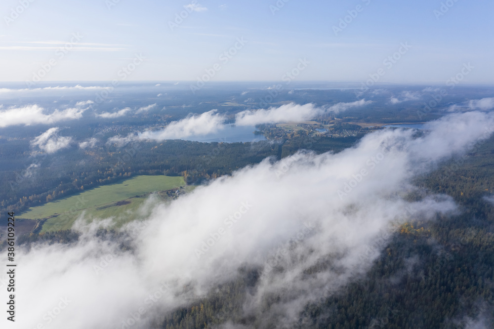 Aerial view of pine and fir-tree forest in mist early morning. Mysterious cloudy and foggy weather. Russian nature. Drone flies in clouds above.