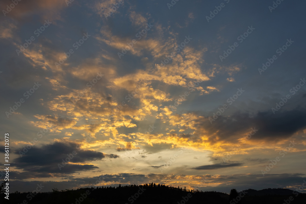 Beautiful sunset with beautiful clouds over the coniferous forest.
