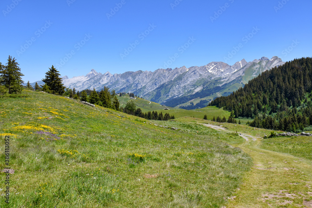 Plateau de Beauregard, savoie, France